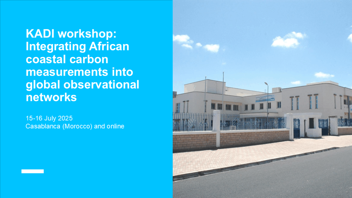 Workshop: African coastal carbon measurements for global networks